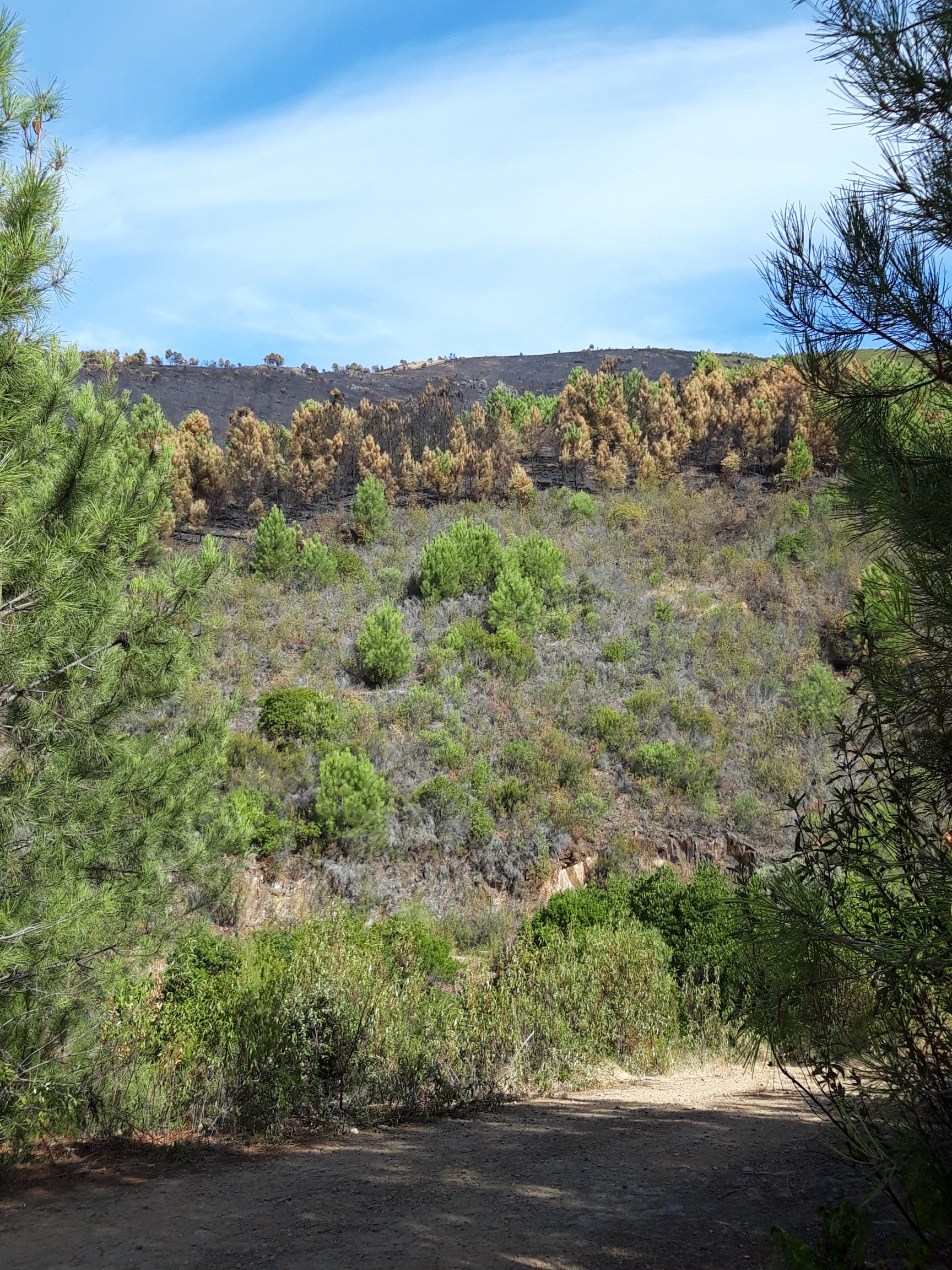 El Plan INFOEX Da Por Controlado El Incendio De Las Hurdes Y Desactiva ...